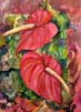 Anthurium Fantasy